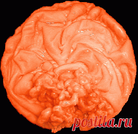 Отливки посетителей: Низ третьей отливки