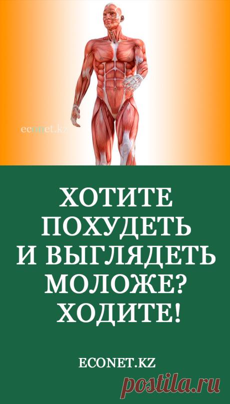 Хотите похудеть и выглядеть моложе? Ходите!

Люди, которые ведут малоподвижный образ жизни, больше подвержены хроническим заболеванием и часто имеют лишний вес. Аэробные упражнения и силовые нагрузки, безусловно, положительно влияют на здоровье. Но избавиться от лишнего веса можно и при помощи простой ходьбы. Поэтому если вашей целью является похудение, чаще гуляйте на свежем воздухе!