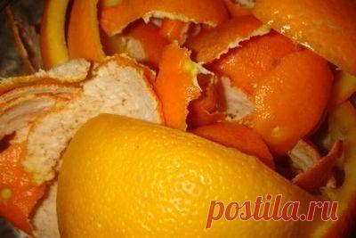 Народные средства для растений | Flowery-Blog