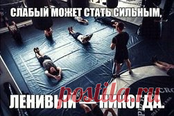 (17) Одноклассники