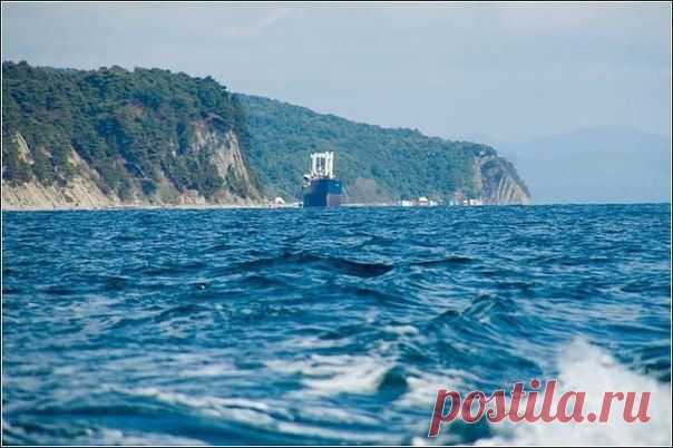 Новости