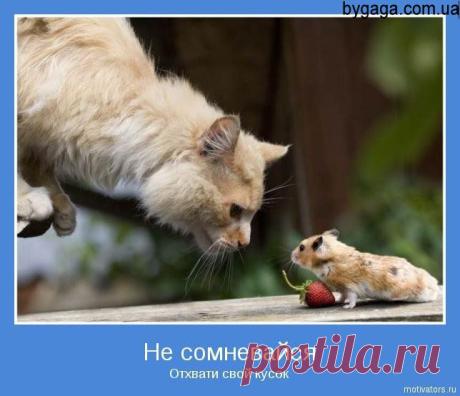 Мотиваторы добрые и позитивные, для тех кому важно сейчас получить поддержку | Приколисты