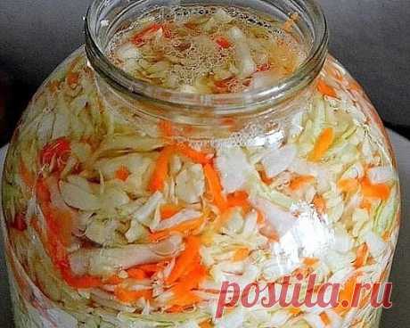 Самая простая и вкусная квашеная капуста! — Готовим дома