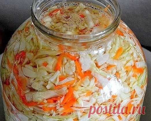 Самая простая и вкусная квашеная капуста! — Готовим дома