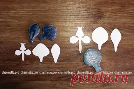 Found on charmelle.pro
