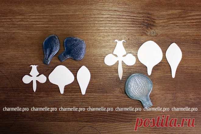 Found on charmelle.pro