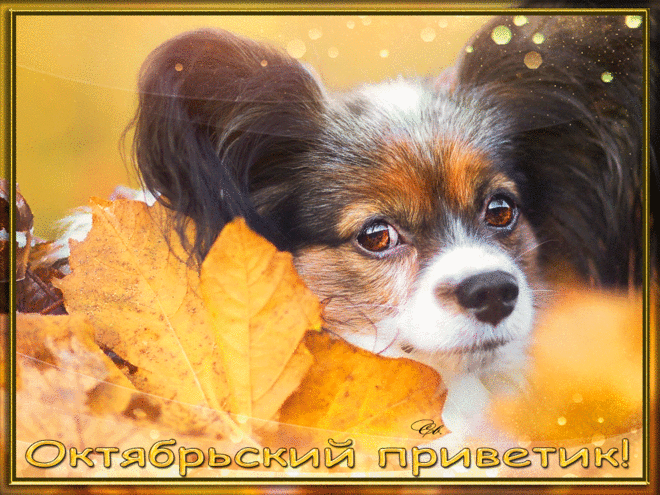 Приветик