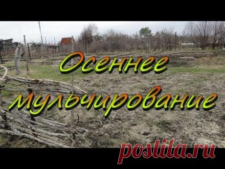 Осеннее мульчирование