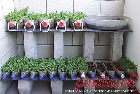 Копилка дачных идей