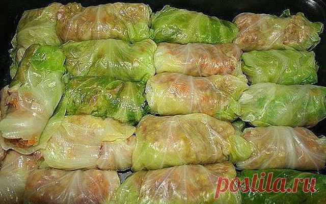 Как сделать голубцы в 3 раза вкуснее: никто не останется равнодушным. Блюдо № 1 на моем столе! - Все обо Всем