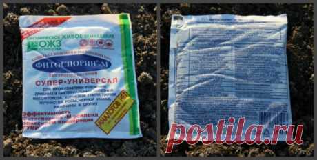 Фитоспорин М паста: полная инструкция по применению, отзыв