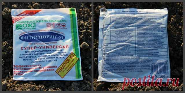 Фитоспорин М паста: полная инструкция по применению, отзыв