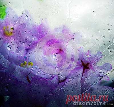 Stock Photos, Royalty-Free Images & Video Footage By Dreamstime Stock Photography