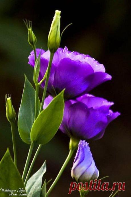 Обиды пройдут с годами,
Забудутся даже лица.
Нельзя быть для всех хорошей,
Пусть с кем-то пришлось проститься.

Не смей сожалеть о прошлом,
Кто должен, тот будет рядом!
Нельзя быть для всех хорошей,
А главное - и не надо!