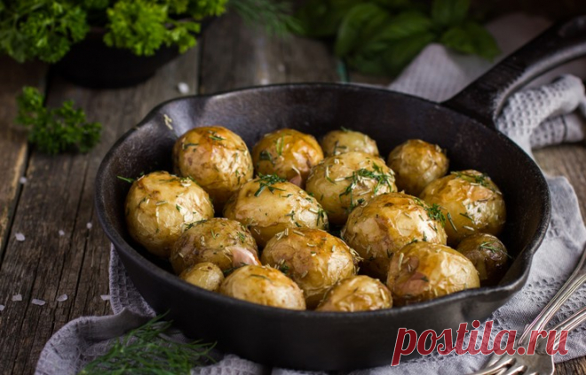 Запечённый картофель по-средиземноморски 






 


Запеченный картофель любят всё, и рецептов приготовления этого по-истине 