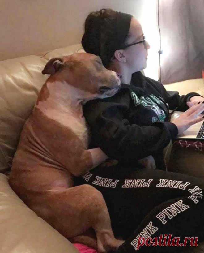 20 трогательных фотографий спасённых животных, которые дарят владельцам всю свою любовь