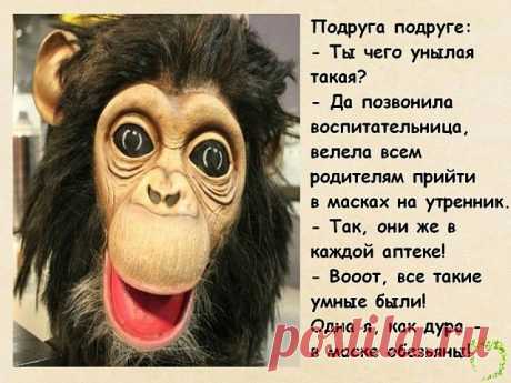 - У меня вчера жена чуть со стыда не сгорела! - Это как?... 
Франция. Канун первой брачной ночи. Молодой муж, раздевшись играетмускулатурой перед зеркалом. Минут через двадцать он спрашивает умолодой жены, терпеливо ждущей его в постели:- Жаклин, ты хотела бы …