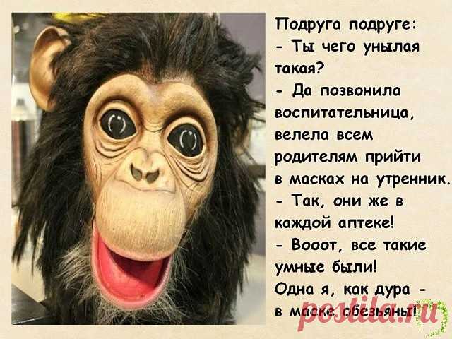 - У меня вчера жена чуть со стыда не сгорела! - Это как?... 
Франция. Канун первой брачной ночи. Молодой муж, раздевшись играетмускулатурой перед зеркалом. Минут через двадцать он спрашивает умолодой жены, терпеливо ждущей его в постели:- Жаклин, ты хотела бы …