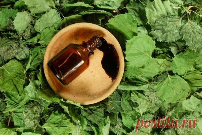 Берёзовый дёготь всегда выручит: 18 неожиданных способов применения - Женский Журнал Берёзовый дёготь – старинное средство, которое широко применяется в косметологии и медицине. Этот недорогой аптечный препарат, изготовленный на основе древесной смолы, отличается сильным и очень стойким ароматом. Этим не преминули воспользоваться смекалистые садоводы. Они заменили природным и безопасным в применении продуктом дорогостоящие препараты — инсектициды и не только. Берёзовый дёг...