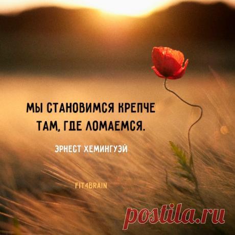 Доп.заработок в сети интернет, без вложений, без продаж. Информацию о работе смотрите на сайте https://millioner-sveta.blogspot.com