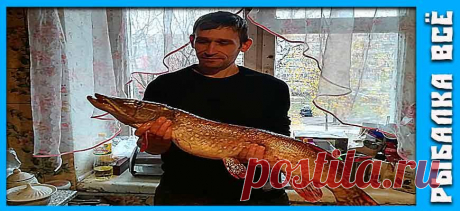 Ловля Щуки в Августе: Личный Опыт и Советы | Рыбалка Всё | Дзен