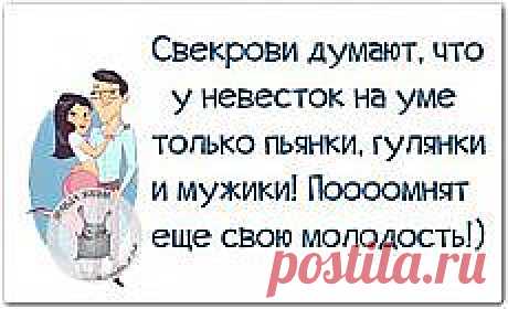 Письмо «Теплый салат с кальмарами / Салаты из... и другие материалы. Новое в Вашей подборке на Постиле» — Постила — Яндекс.Почта