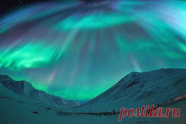 Живая природа