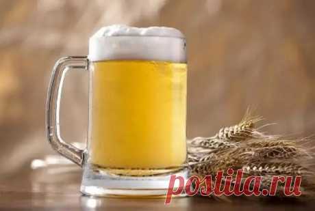 Слабоумие и ожирение. Врачи рассказали, что с вами будет, если пить пиво каждый день