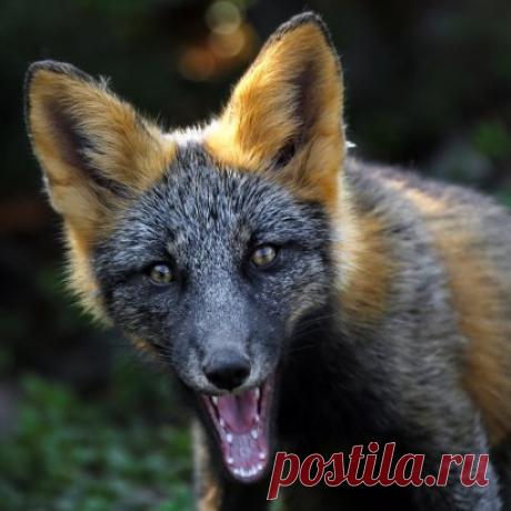 Полуостров Шмидта, Сахалин. Автор фото — Андрей Сучков: nat-geo.ru/photo/user/294923/