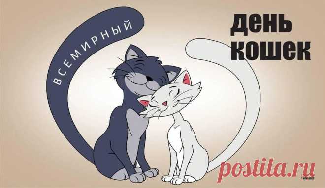 С Днем кошек я от сердца поздравляю,
Вам лично я желаю мира и терпенья,
Чтоб всё пушистикам прощать,
А им хорошего желаю поведенья,
Хозяев чтоб вовек не огорчать.