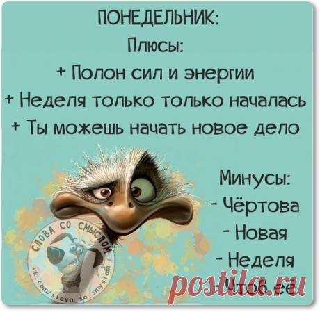 ПРИКОЛЬНЫЕ КАРТИНКИ С ПОЗИТИВНЫМИ ФРАЗАМИ