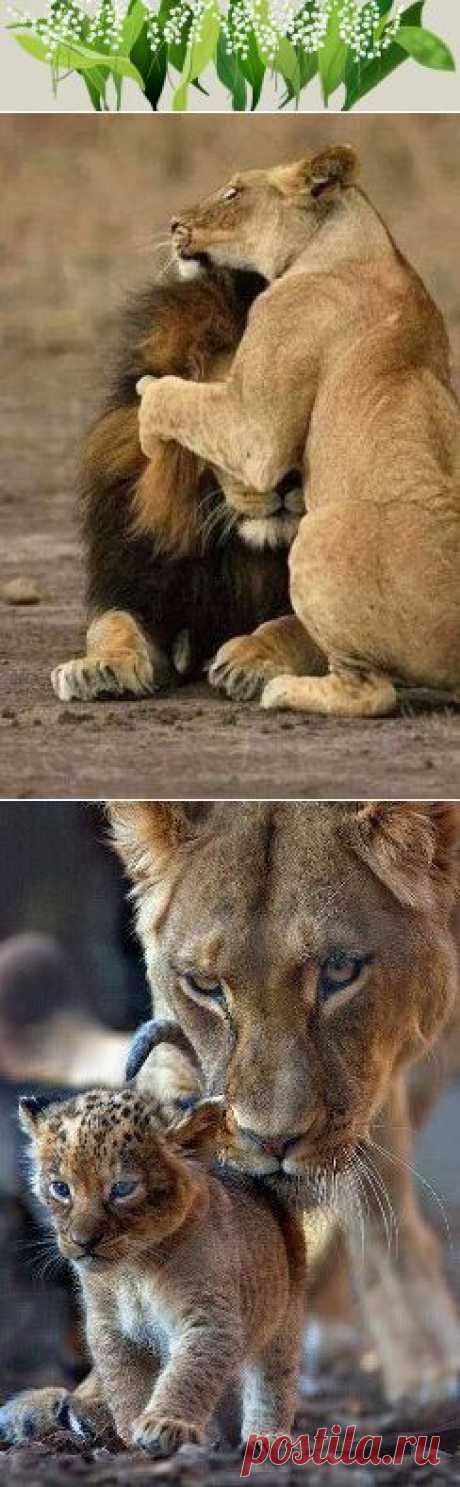 Нам есть чему у них поучиться!