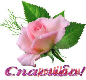 Какие чудесные однстишья...