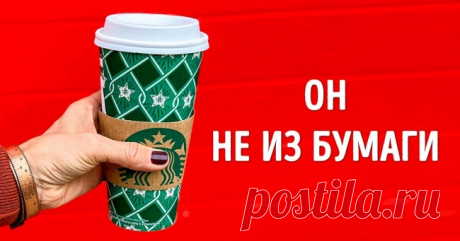 Как перестать быть дикарем и научиться сортировать мусор. Инструкция для «чайников» . Милая Я
