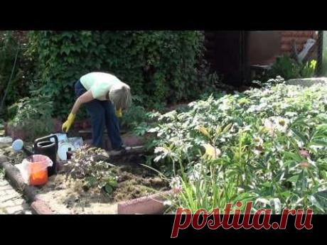 &quot;Восстановление плодородия почвы осенью&quot; Часть№3 - YouTube