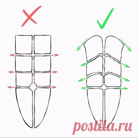 Урок. Мышцы брюшного пресса.