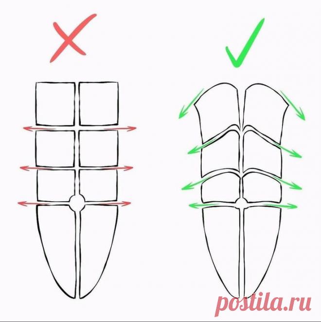 Урок. Мышцы брюшного пресса.