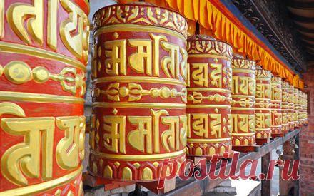 Что бы было, если бы люди верили в реинкарнацию? | Мир вокруг нас