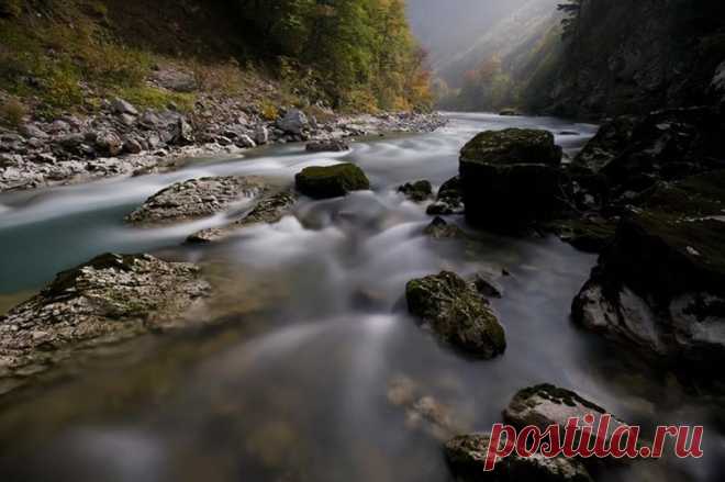(1) This is Montenegro