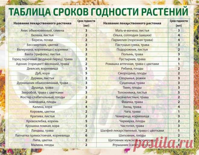 Таблица сроков годности растений