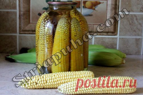 Кукуруза консервированная (в початках)