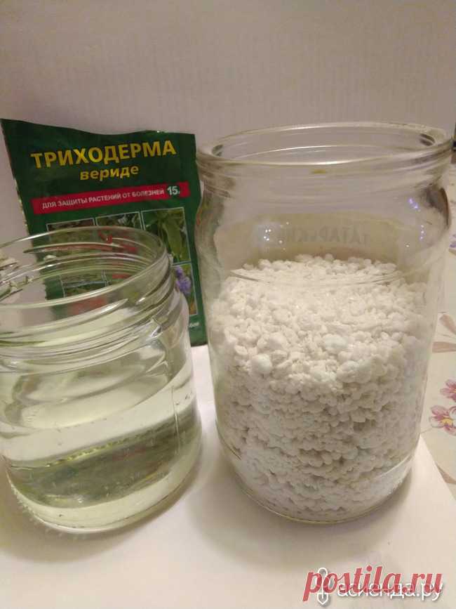 Триходерма на перлите. Борьба с фитофторой, фузариозом и не только...: Группа Практикум садовода и огородника