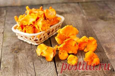 Какие грибы можно есть сырыми