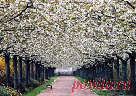 Valloires Abbey Garden; Argoules, France.