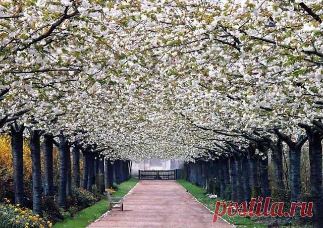 Valloires Abbey Garden; Argoules, France.