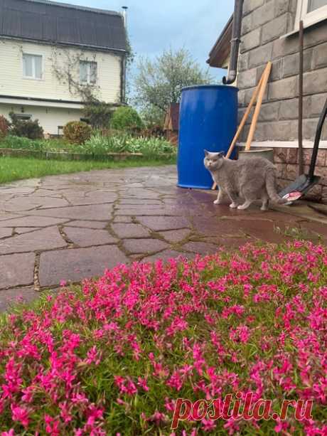 Утро доброе! 💥😻