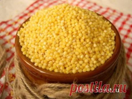Полезные свойства пшена » Кулинарные рецепты вкусной домашней кухни