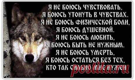 Интересные новости