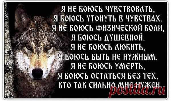Интересные новости