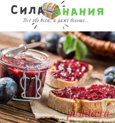 Джем из сливы без косточек на зиму (простые рецепты пальчики оближешь)